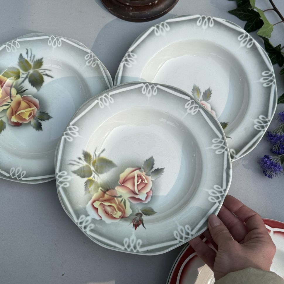 Тарелка глубокая Sarreguemines Digoin Odile 23 см Франция One Stroke