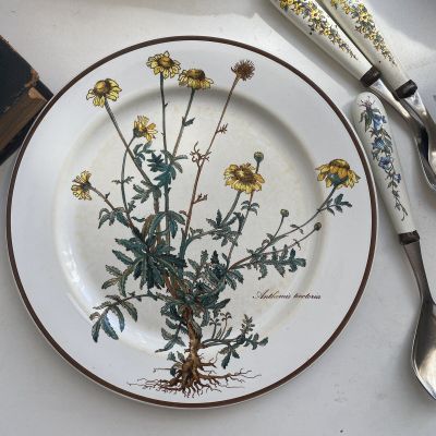 Тарелка Botanica ВиллеройБох с корешком 27 см 2 категория