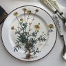 Тарелка Botanica ВиллеройБох с корешком 27 см 2 категория