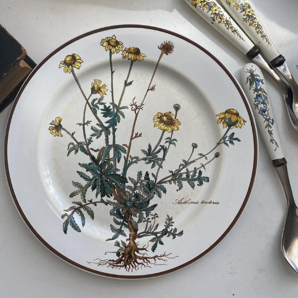 Тарелка Botanica ВиллеройБох с корешком 27 см 2 категория