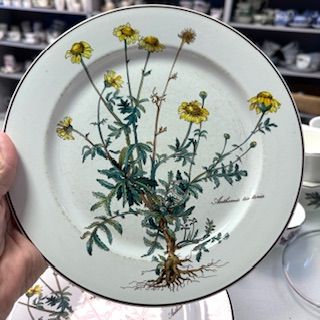 Тарелка Botanica ВиллеройБох с корешком 27 см 2 категория