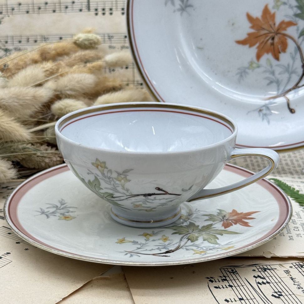 Чайное трио Reicchenbach 180 мл Германия