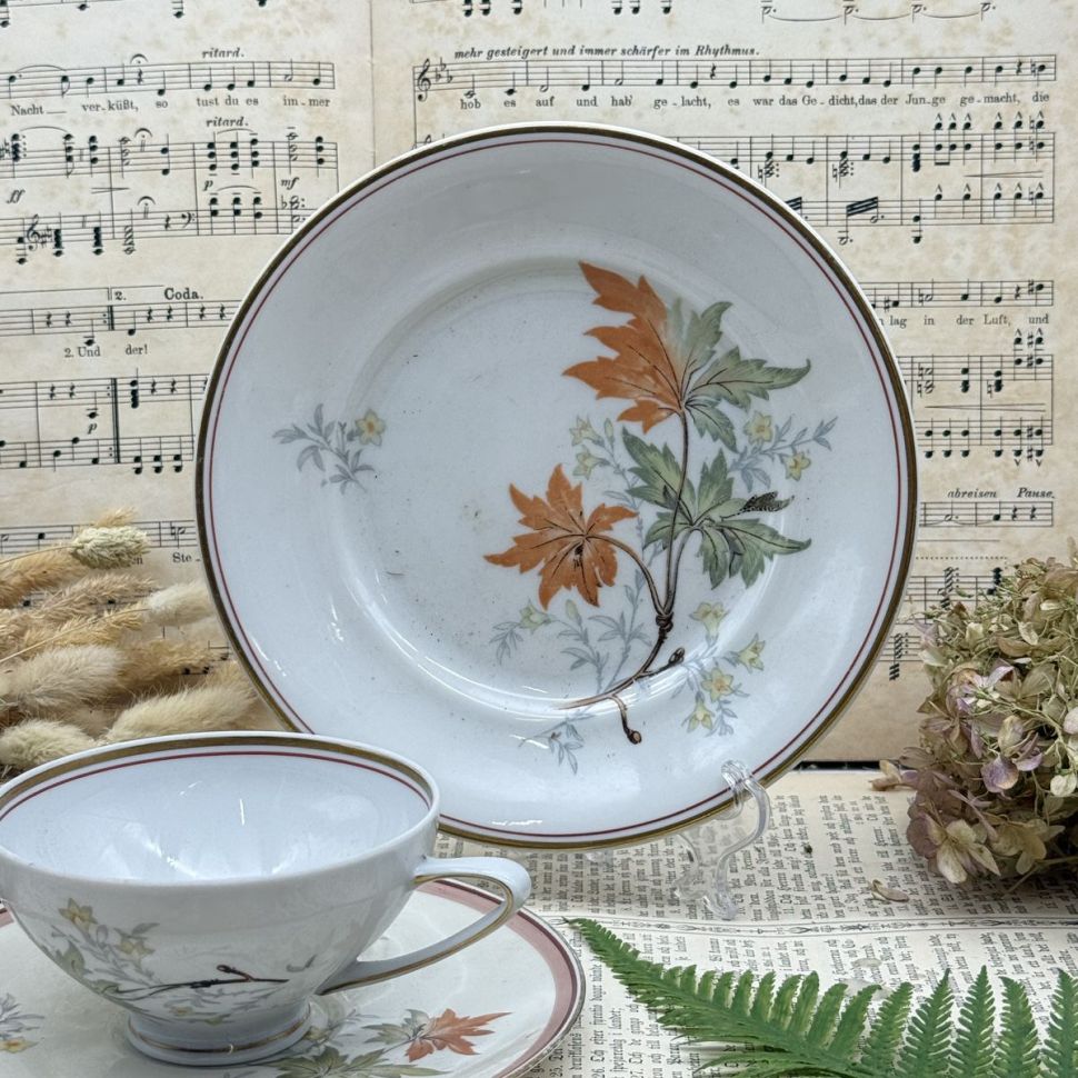 Чайное трио Reicchenbach 180 мл Германия