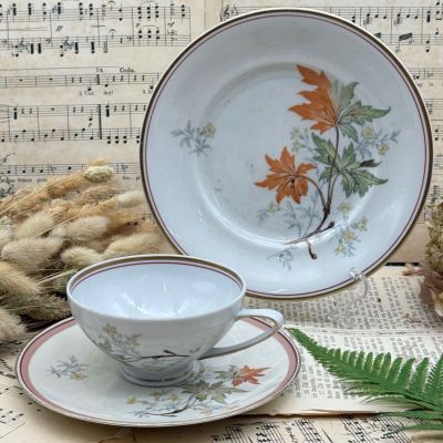 Чайное трио Reicchenbach 180 мл Германия