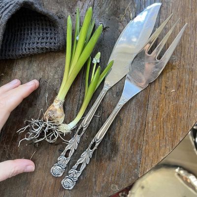 Вилка и нож для рыбы Розы набор 2 предмета