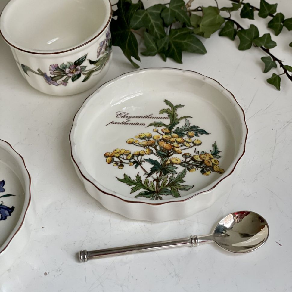 Форма для крем-брюле Botanica ВиллеройБох 12 см