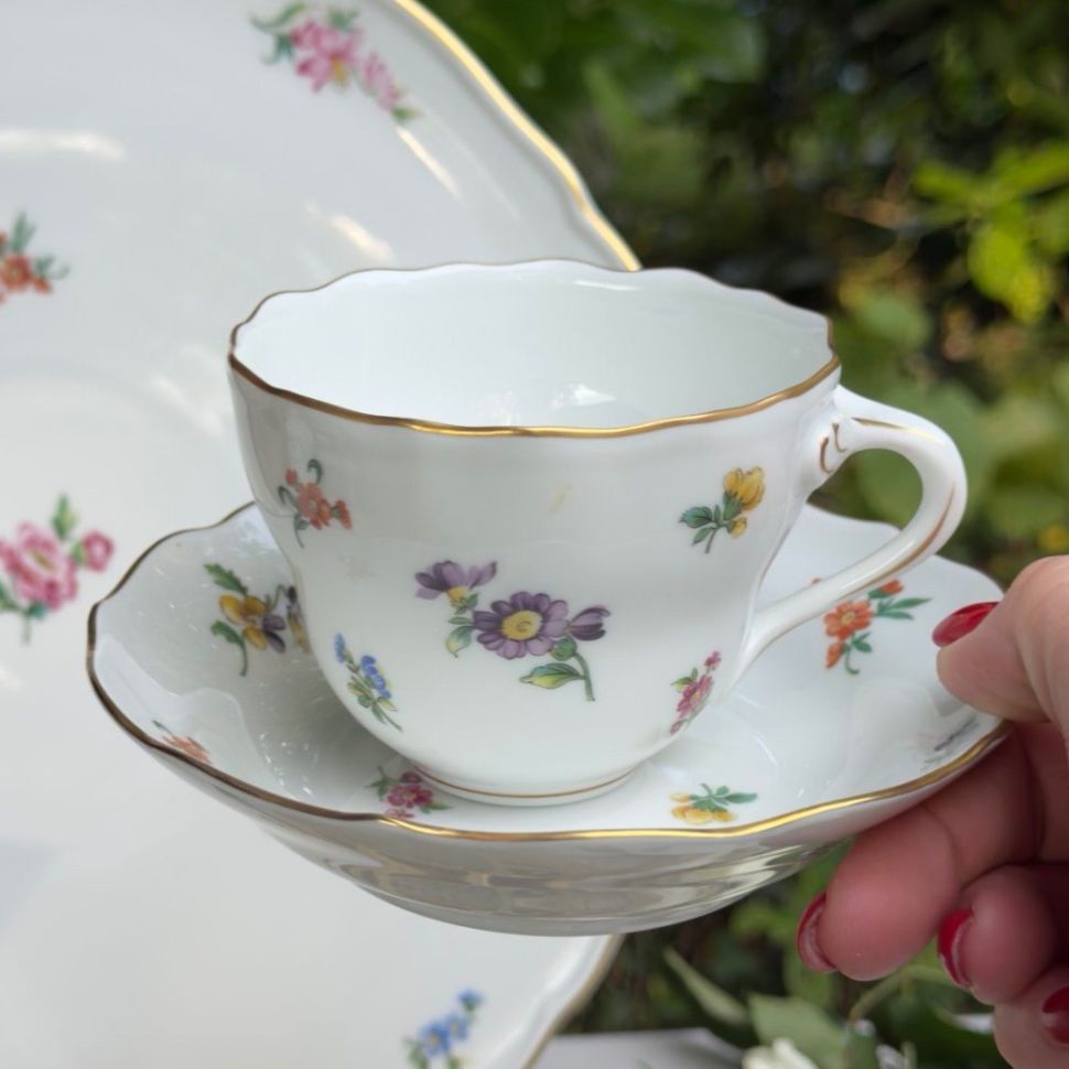 Чайная пара Hutschenreuther Mirabell 200 мл фарфор Германия