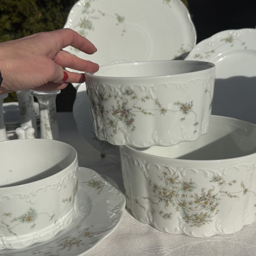 Салатник Rosenthal Monbijou полевые цветы 19 см Германия