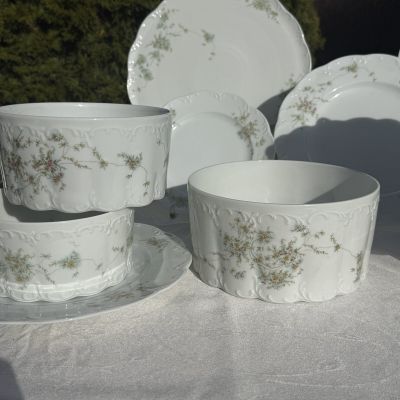 Салатник Rosenthal Monbijou полевые цветы 19 см Германия