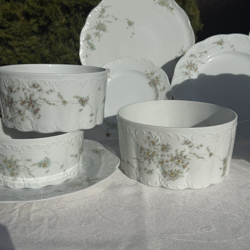 Салатник Rosenthal Monbijou полевые цветы 19 см Германия