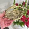 Бюдо с ручкой мини 11 см Арнуво латунь