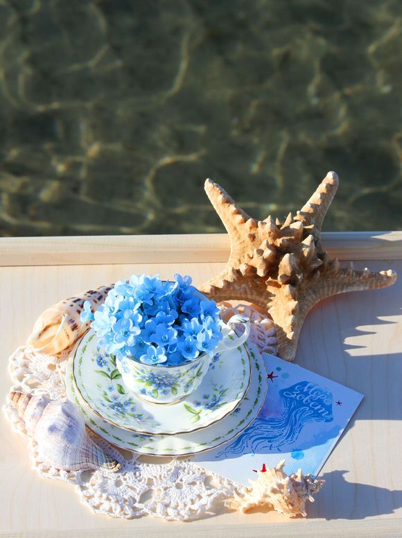 Чайная пара Royal Albert Июль 1970 г. 12 месяцев