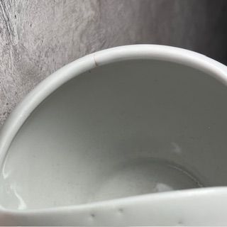 Чайник поильник 250 мл фарфор Бавария