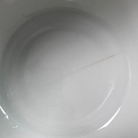 Соусник Rosenthal Lotus Azure 480 мл Германия уценка