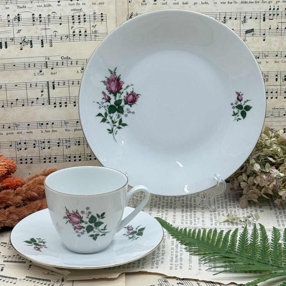 Чайное трио Hutschenreuther Arzberg 200 мл Бавария Германия 