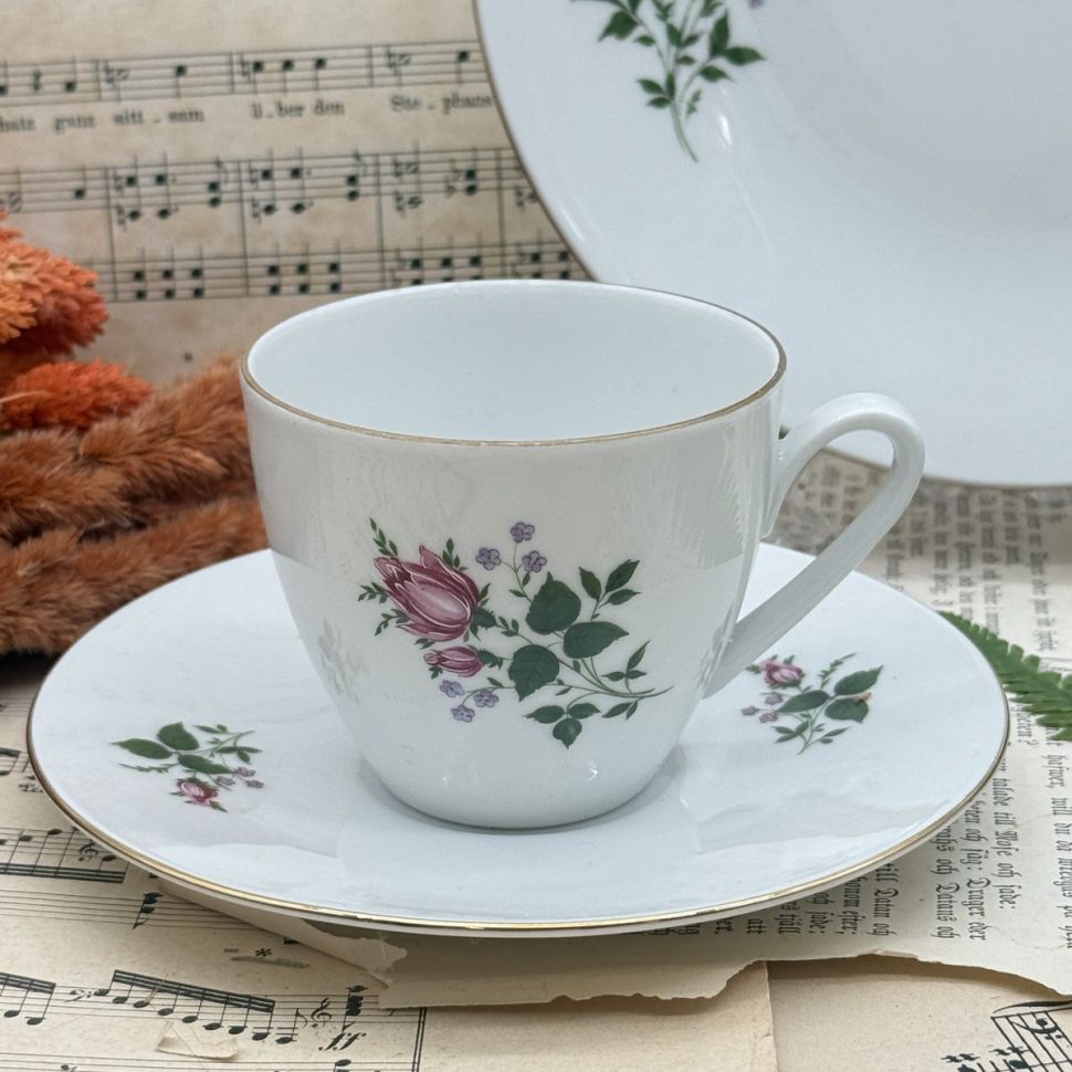 Чайное трио Hutschenreuther Arzberg 200 мл Бавария Германия 