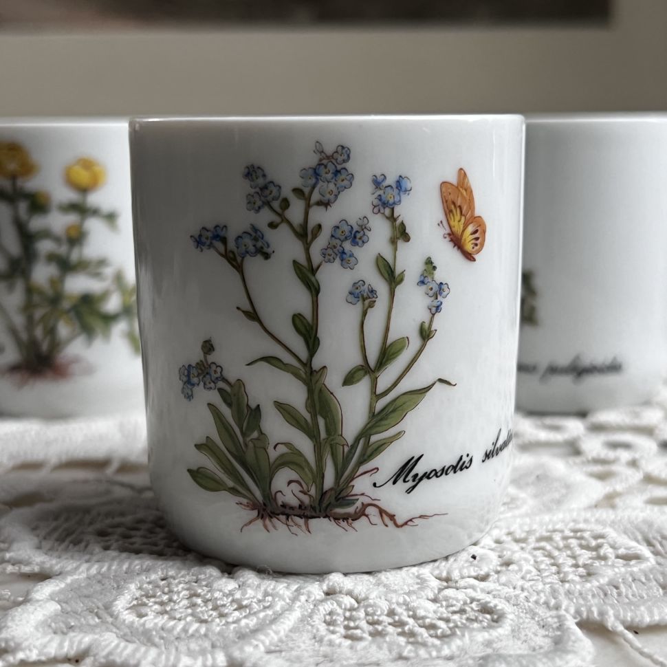 Стакан амюз-буш Kronester Ботаника 100 мл Бавария