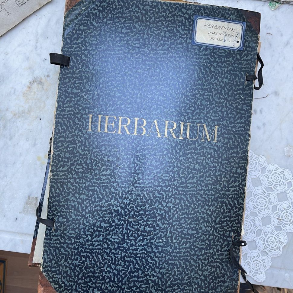 Лист гербария Hans Nilsson Швеция