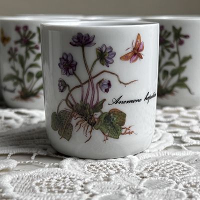 Стакан амюз-буш Kronester Ботаника 100 мл Бавария