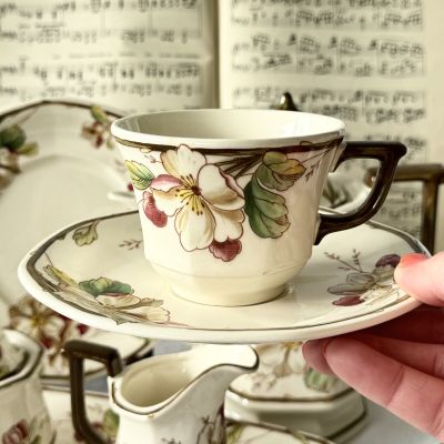 Чайная пара ВиллеройБох Portobello 220 мл Германия 