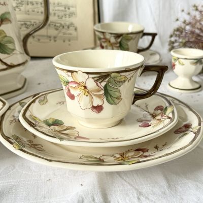 Чайная пара ВиллеройБох Portobello 220 мл Германия 