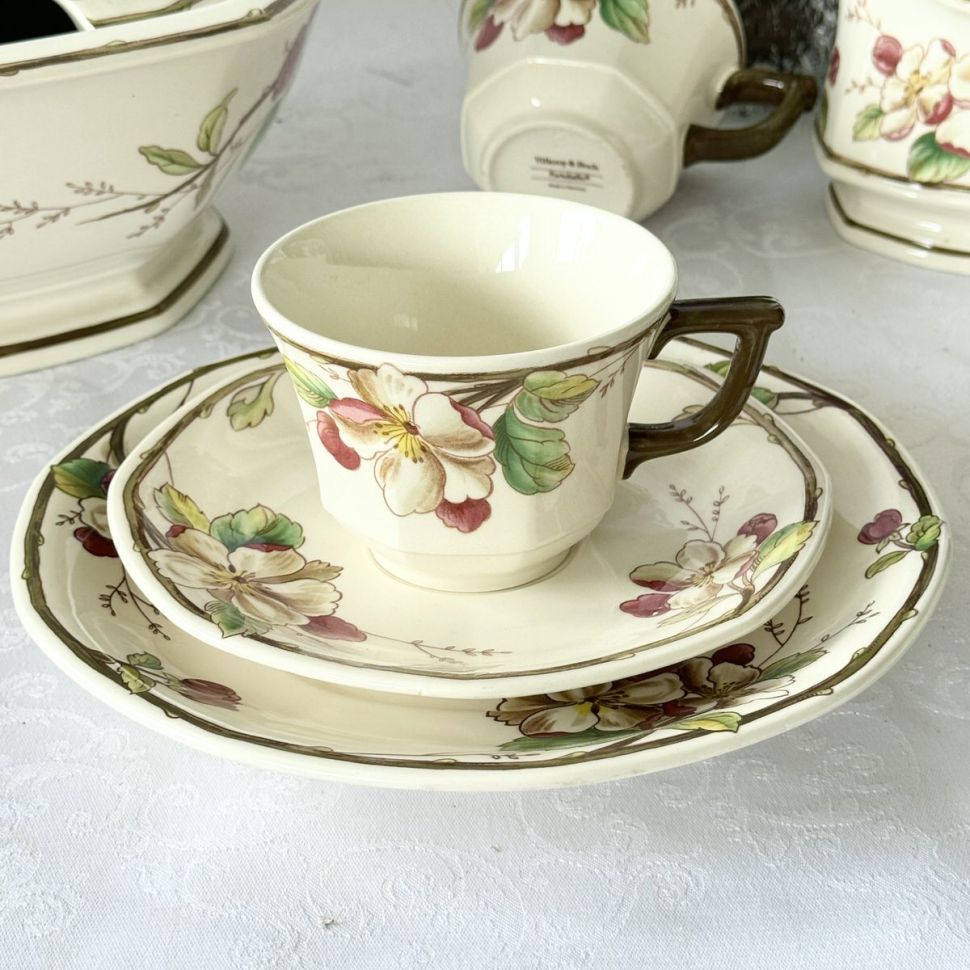 Чайная пара ВиллеройБох Portobello 220 мл Германия 