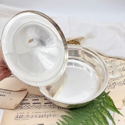 Террин с крышкой Solo 1 л серебрение 100 Голландия