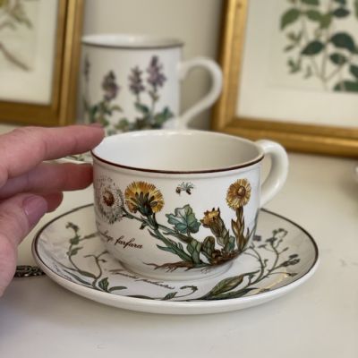 Чайная пара Botanica капучино 250 мл ВиллеройБох 2 категория