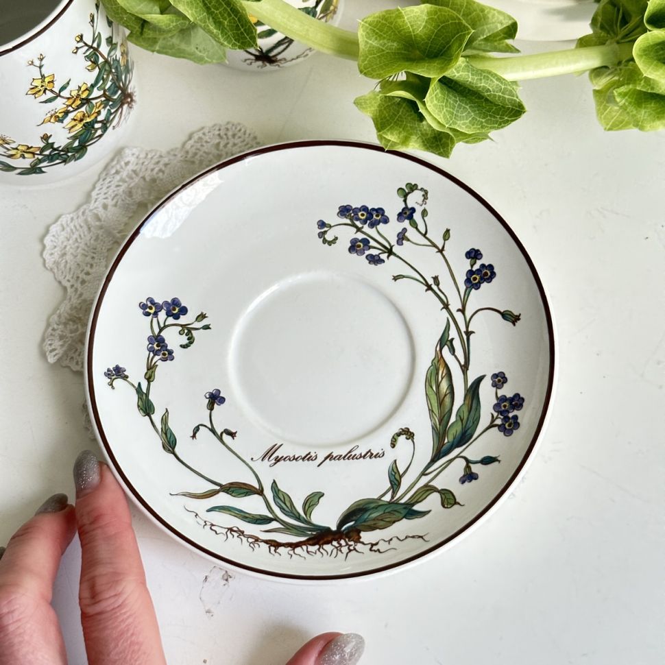 Чайная пара Botanica капучино 250 мл ВиллеройБох 2 категория