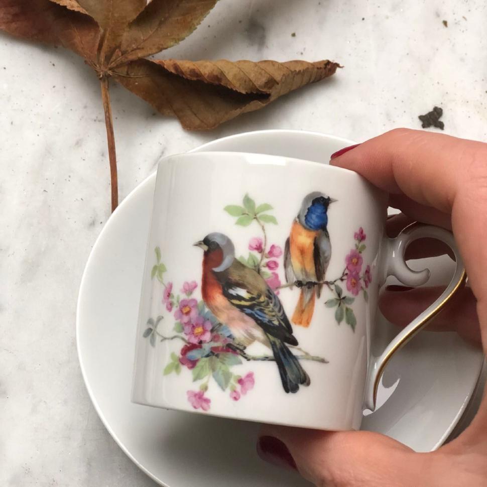 Кофейная пара 100 мл Дрозды Hutschenreuther Германия