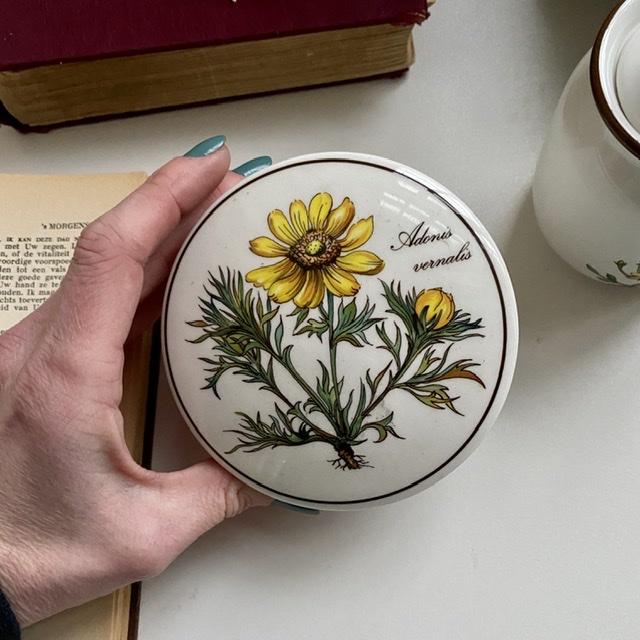 Шкатулка Botanica Adonis vernaes 11 см ВиллеройБох