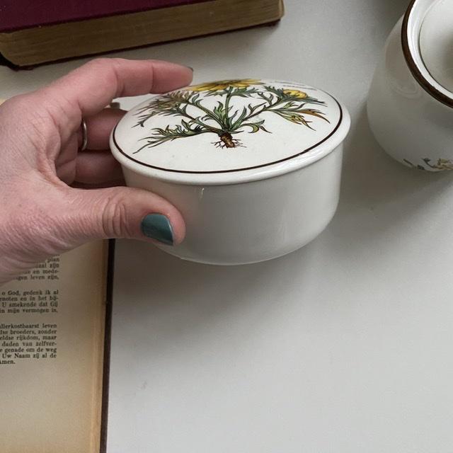 Шкатулка Botanica Adonis vernaes 11 см ВиллеройБох