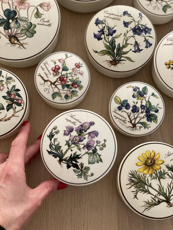 Шкатулка Botanica Adonis vernaes 11 см ВиллеройБох