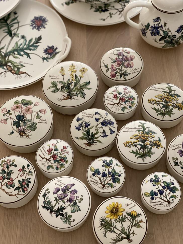 Шкатулка Botanica Adonis vernaes 11 см ВиллеройБох