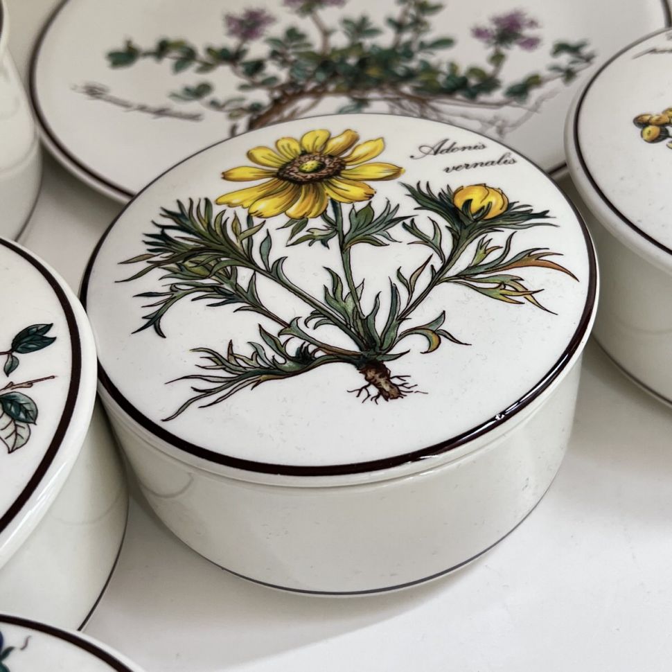 Шкатулка Botanica Adonis vernaes 11 см ВиллеройБох