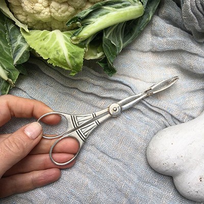 Ножницы - щипцы с лопатками на конце