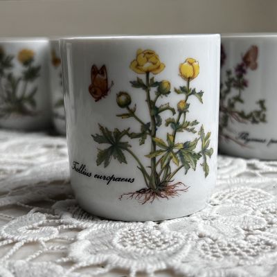 Стакан амюз-буш Kronester Ботаника 100 мл Бавария 