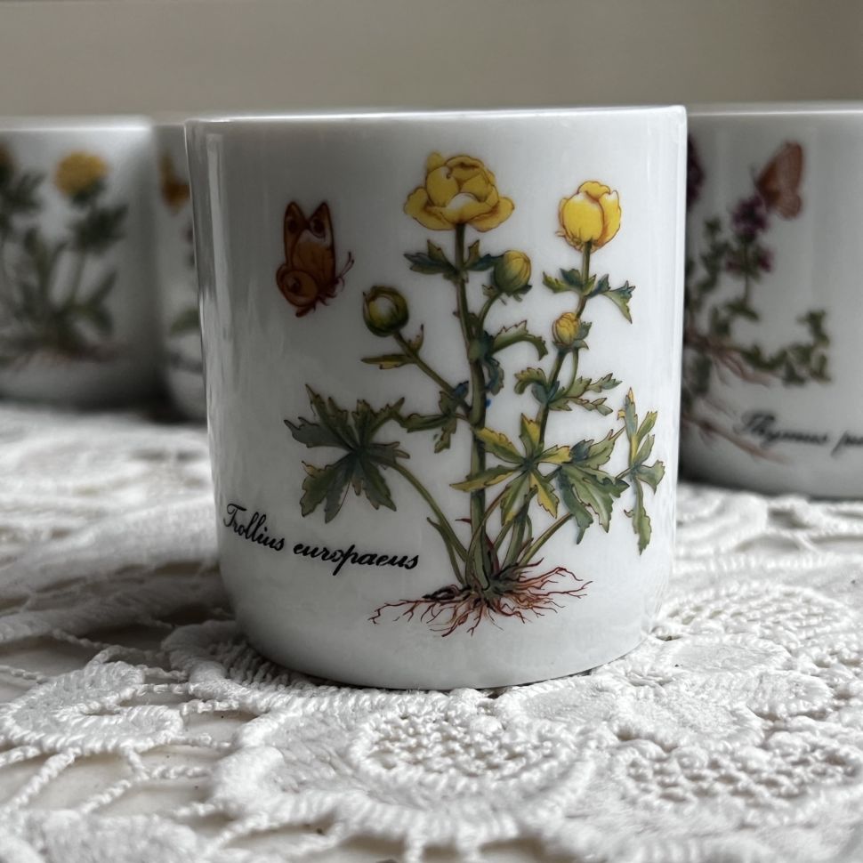 Стакан амюз-буш Kronester Ботаника 100 мл Бавария 