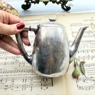 Чайник заварочный Wiskemann 550 мл серебрение Англия