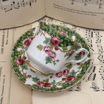 Кофейная пара Royal Stafford Odle English Garden 150 мл костяной фарфор Англия 