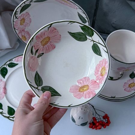 Миска ВиллеройБох Wild-Rose 16 см Люксембург 