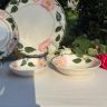 Миска ВиллеройБох Wild-Rose 16 см Люксембург 