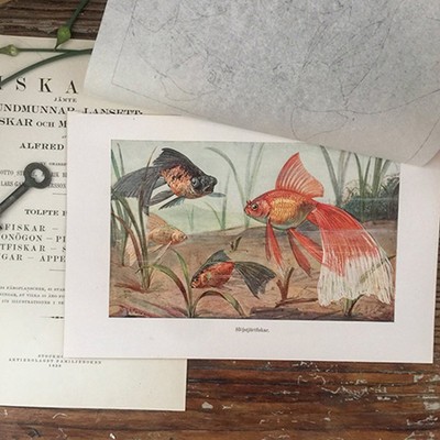 Литография Рыба Телескоп Швеция