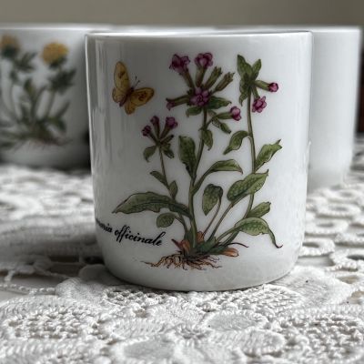 Стакан амюз-буш Kronester Ботаника 100 мл Бавария