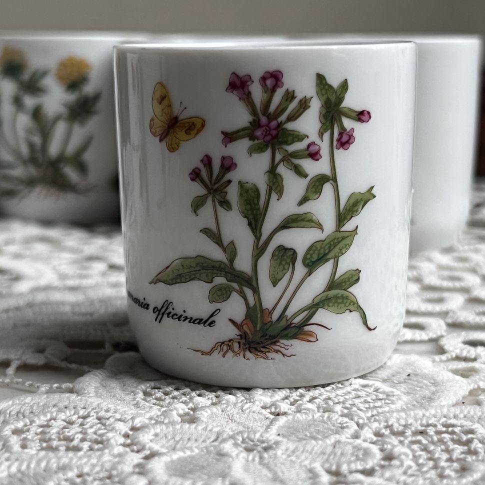 Стакан амюз-буш Kronester Ботаника 100 мл Бавария