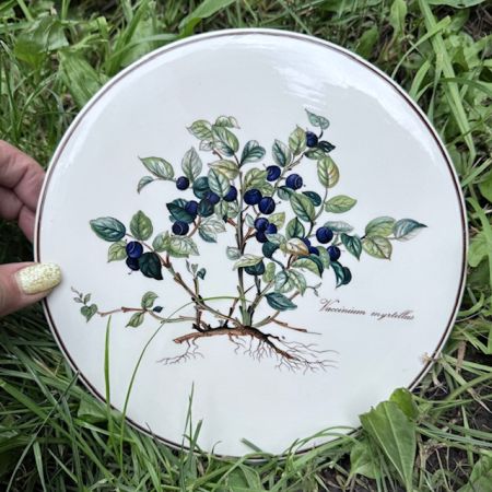 Подставка под горячее Botanica Vaccinium myrtillus 20 см ВиллеройБох 