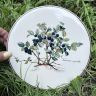 Подставка под горячее Botanica Vaccinium myrtillus 20 см ВиллеройБох 