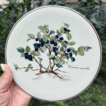 Подставка под горячее Botanica Vaccinium myrtillus 20 см ВиллеройБох 