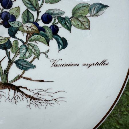 Подставка под горячее Botanica Vaccinium myrtillus 20 см ВиллеройБох 