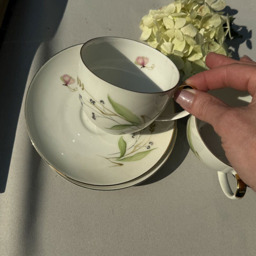 Чайная пара Arzberg Луговые травы 220 мл Германия